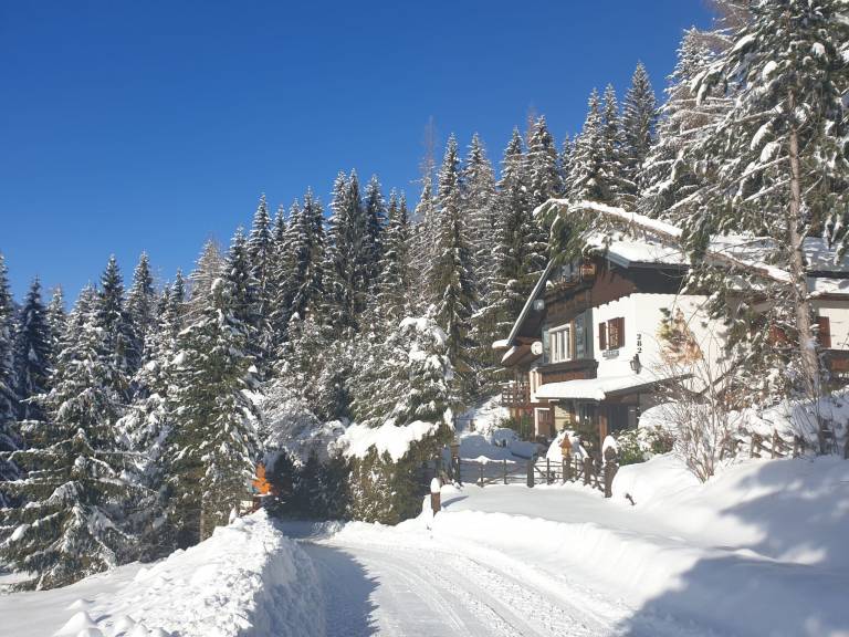 foto46