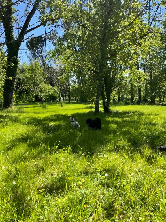 foto20