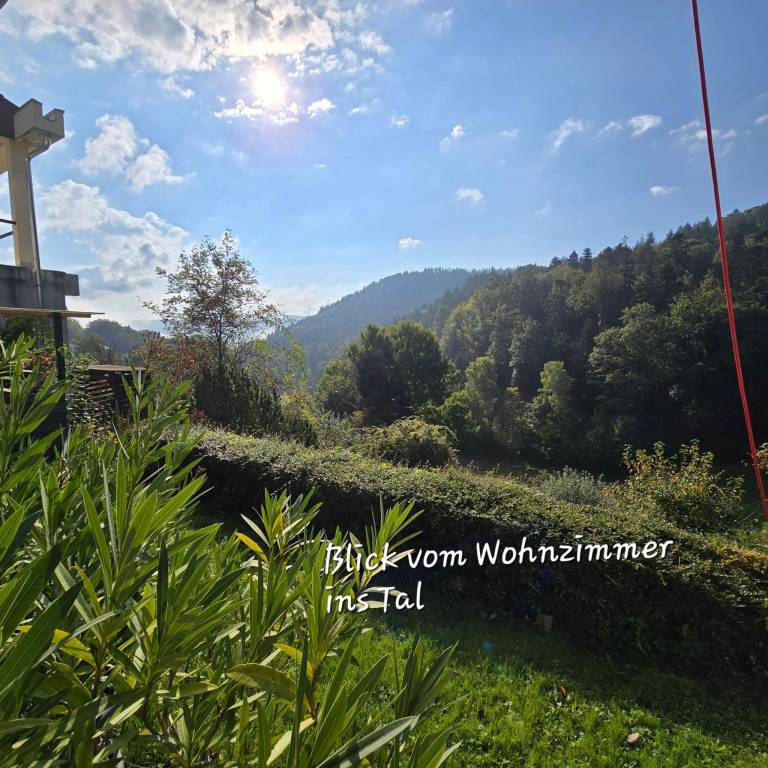foto21