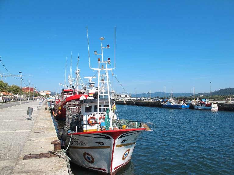 foto33