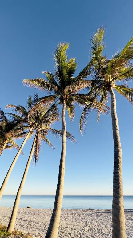Condo Key West