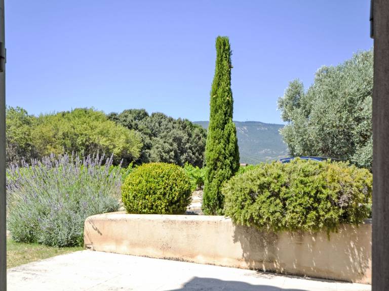 foto41