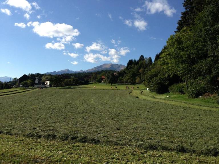 foto13