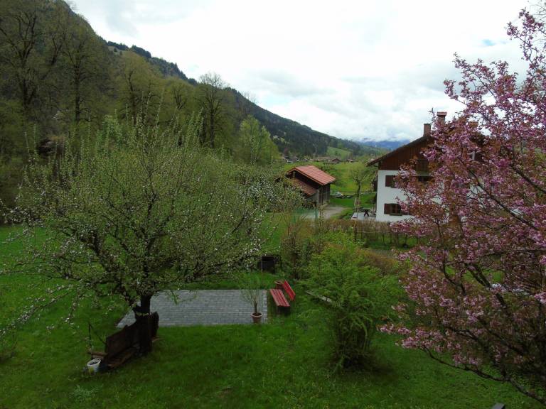 foto8