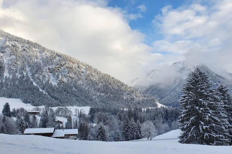 foto11