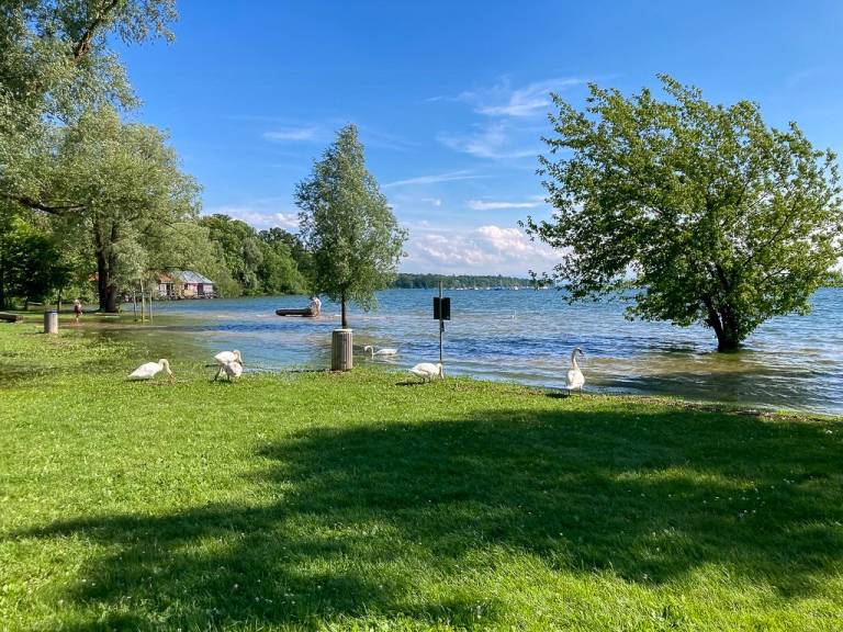 foto45