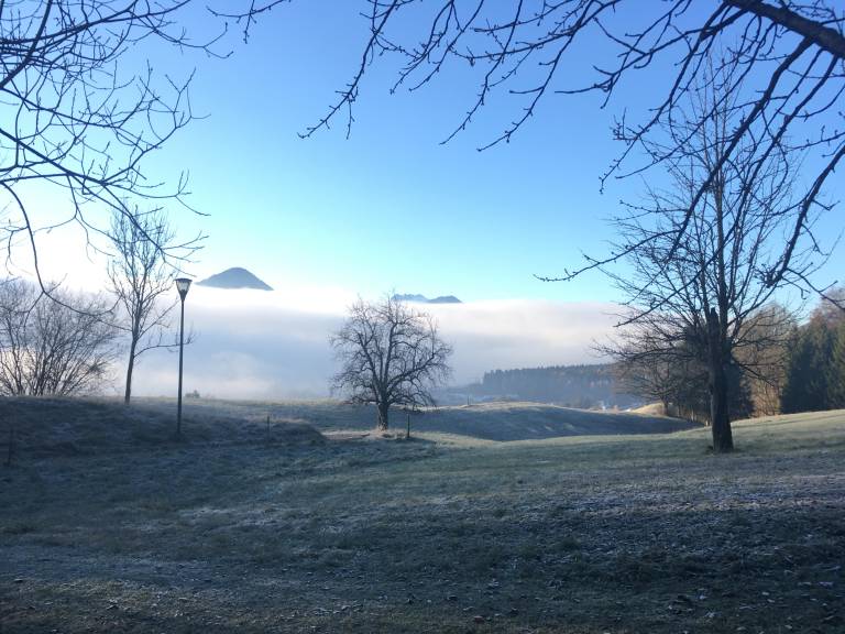 foto15