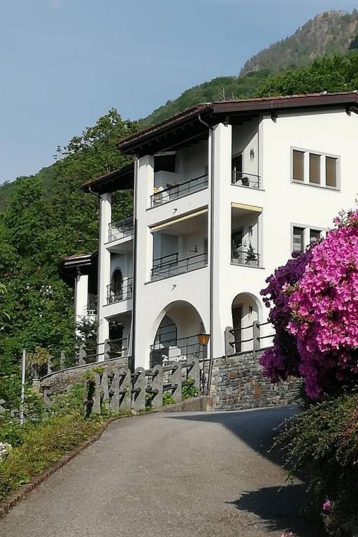 foto7