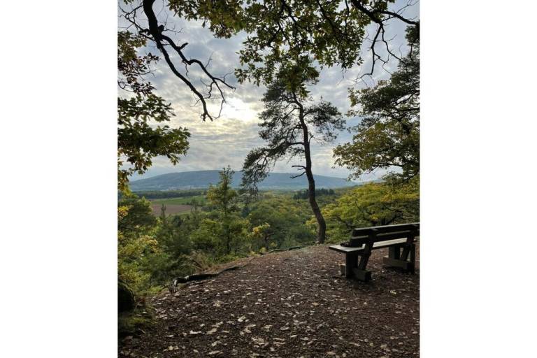 foto18