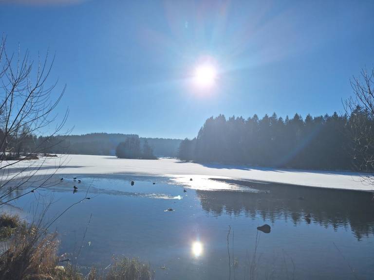 foto21