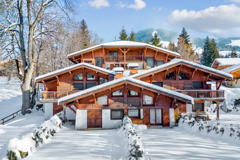 Apartment Megève