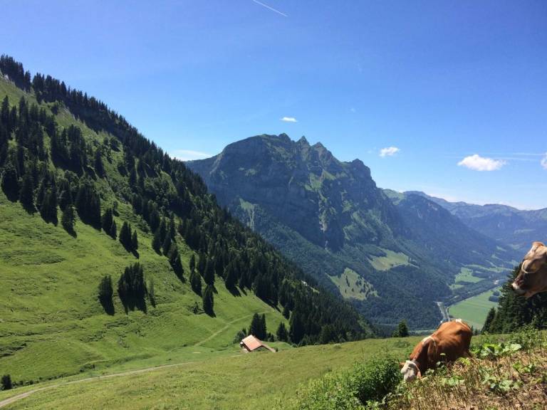 foto23
