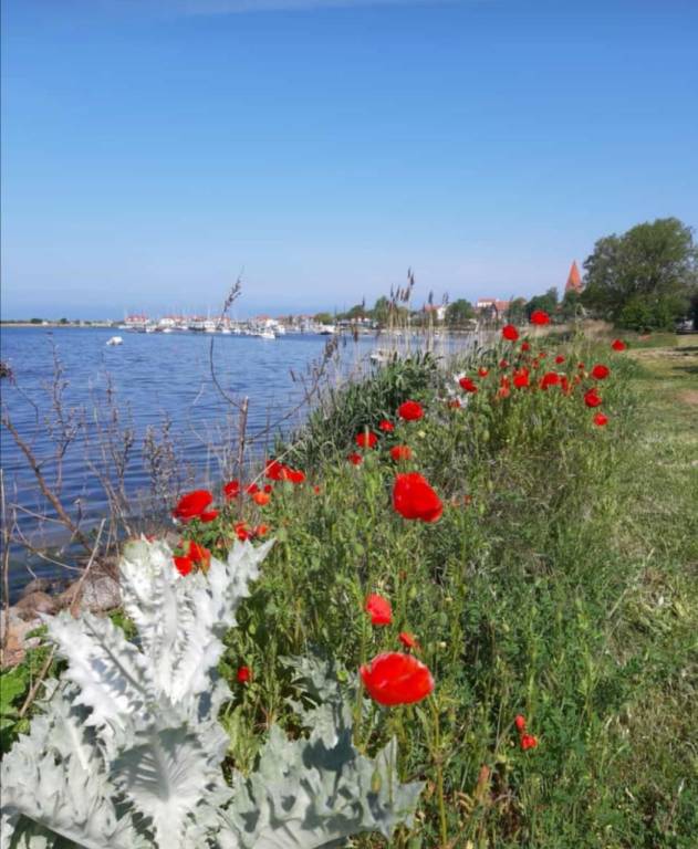 foto41