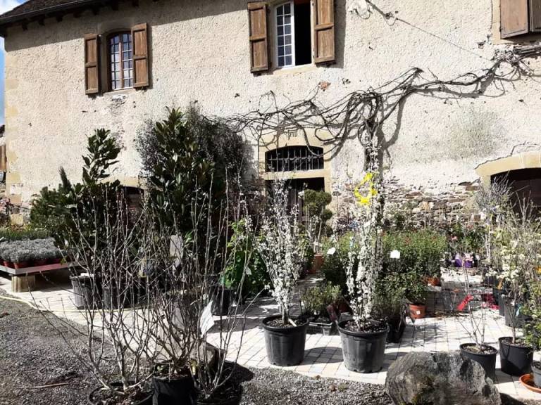 foto36