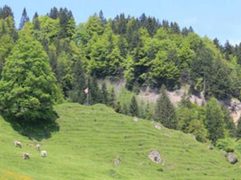 foto44