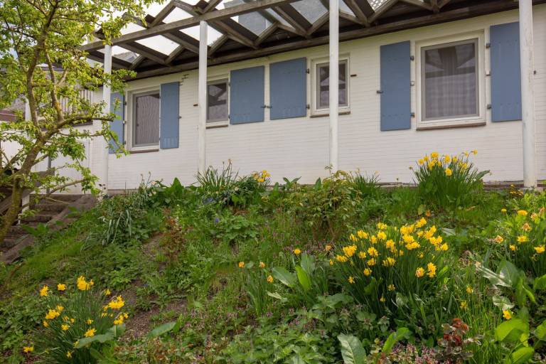 foto11