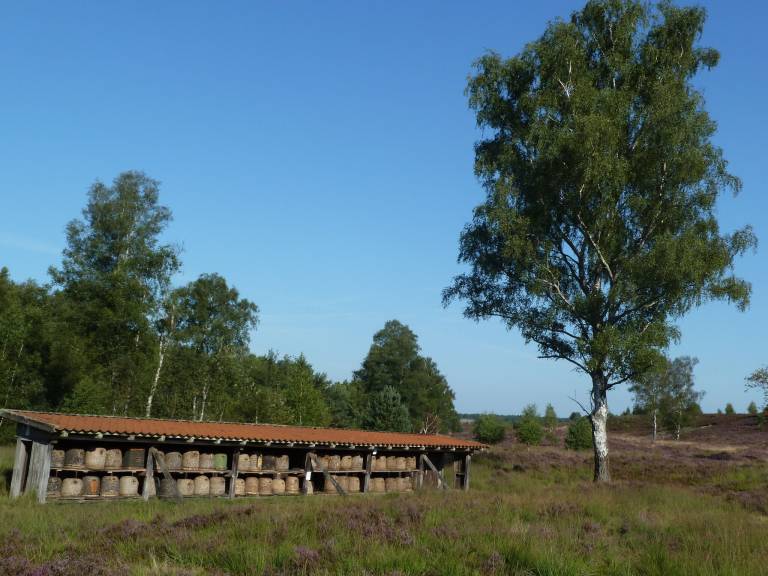 foto15
