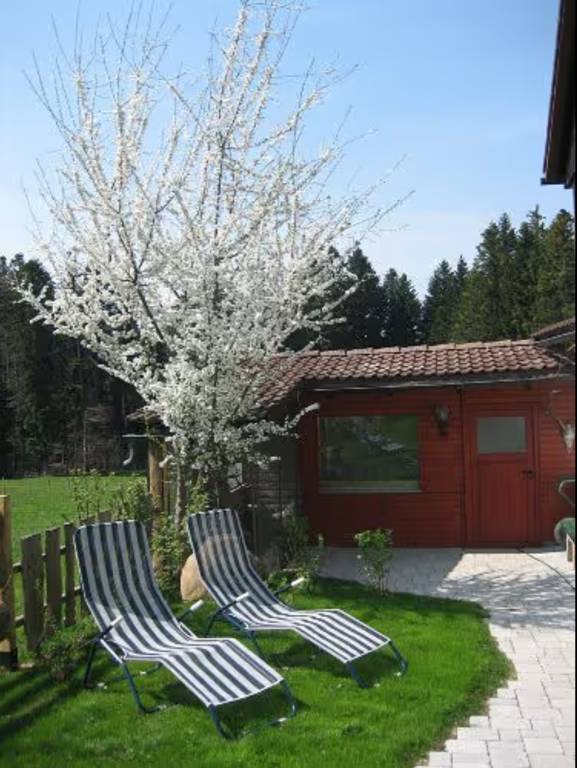 foto11