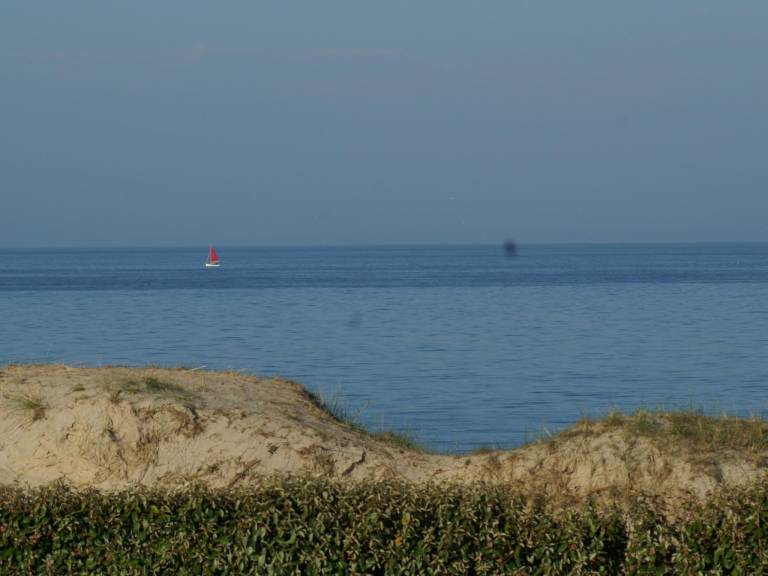 foto19