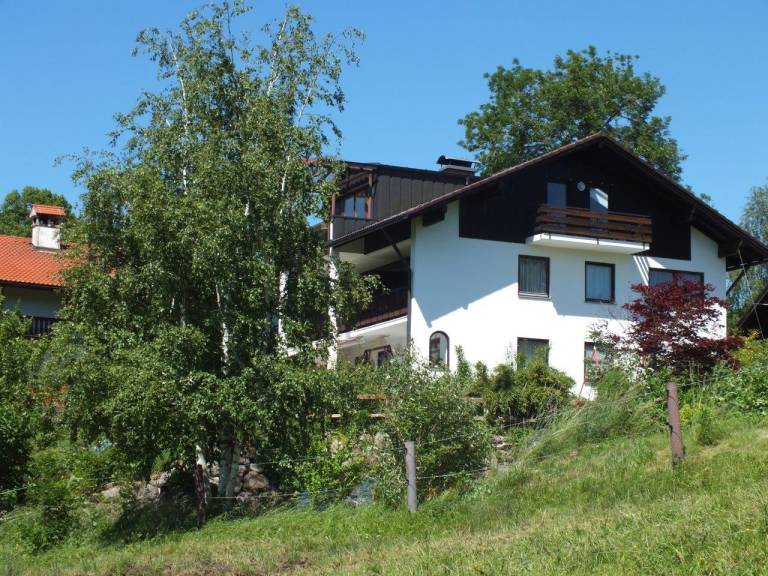 foto1