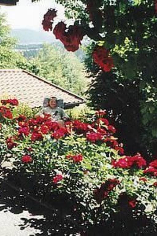 foto7