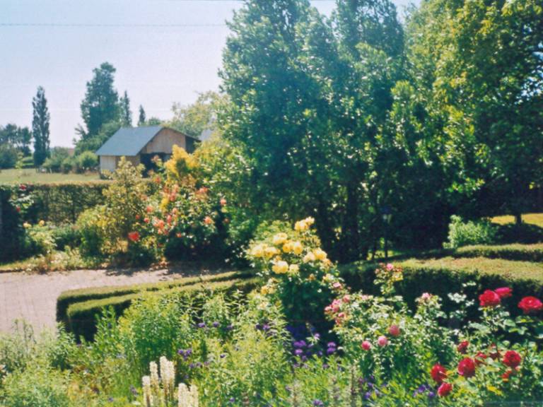 foto11