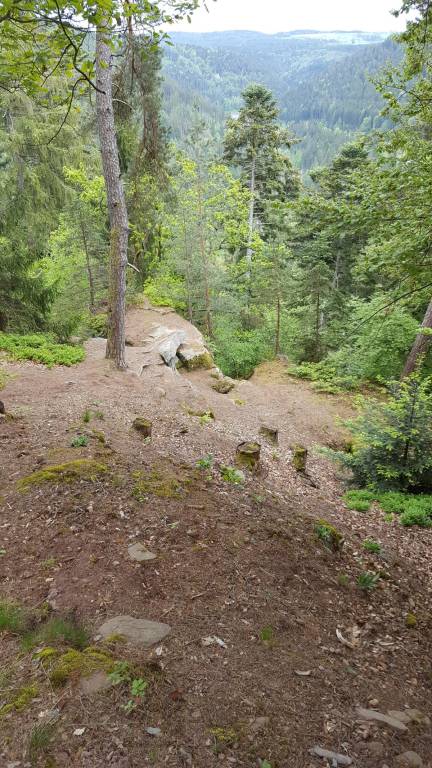 foto16