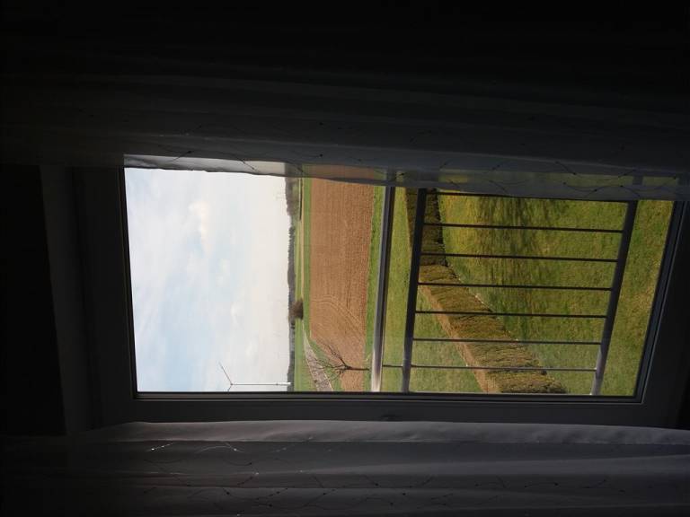 foto11