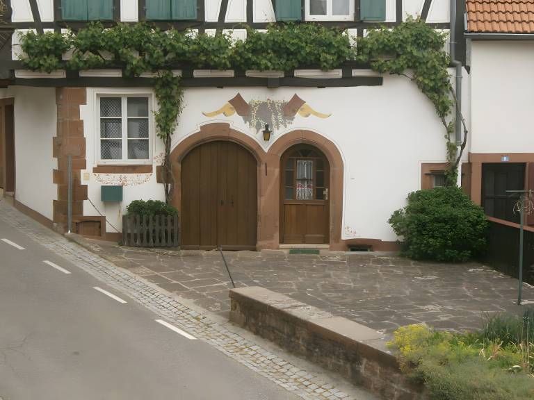 foto5