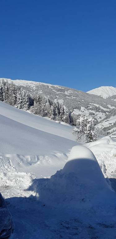 foto37