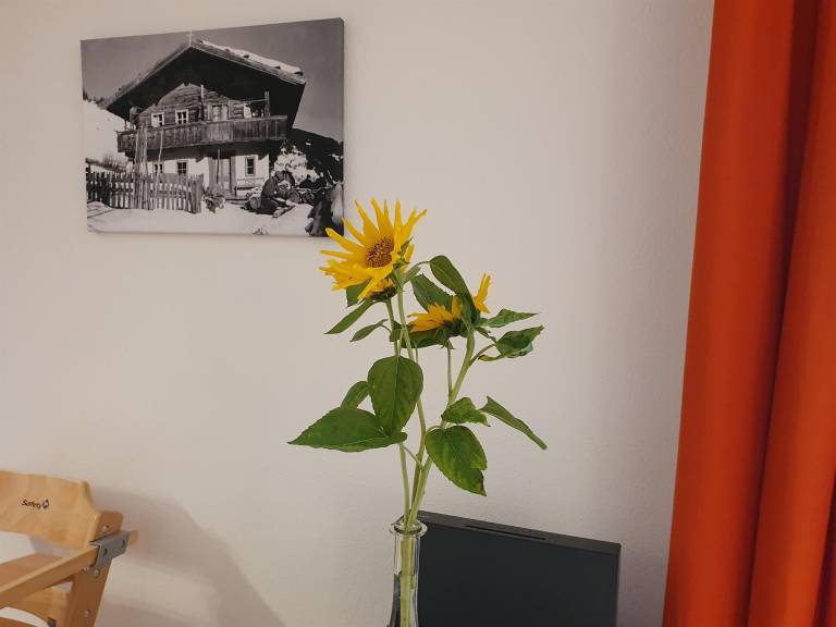 foto9