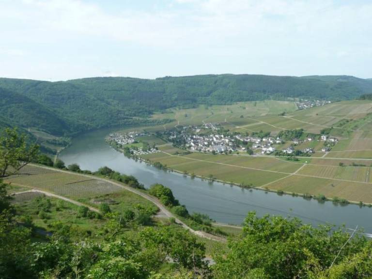 foto12