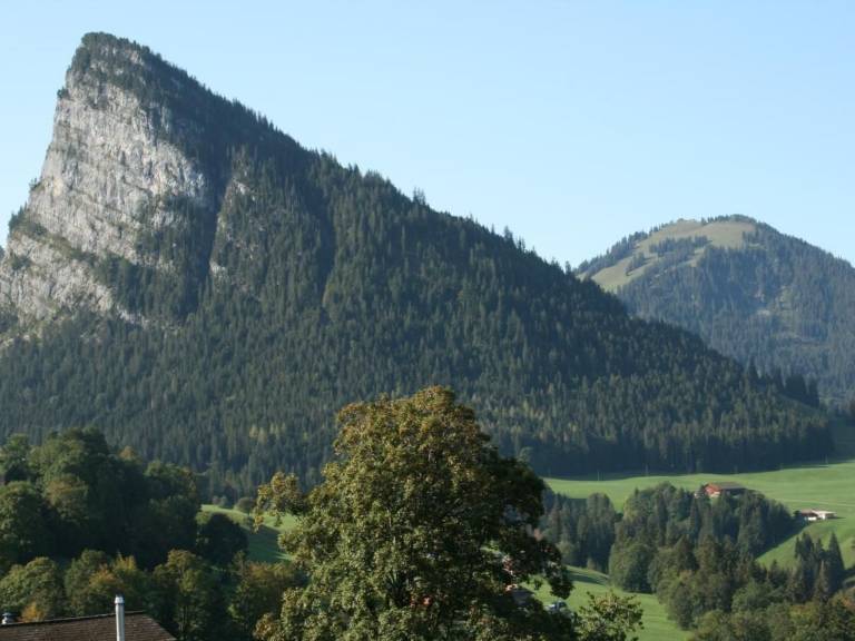 foto5