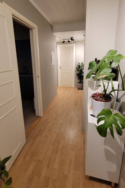 foto15