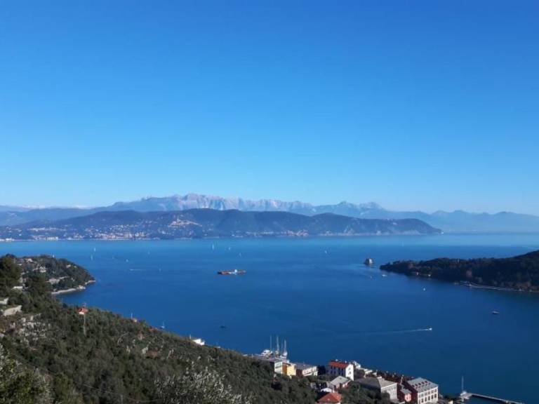 foto41