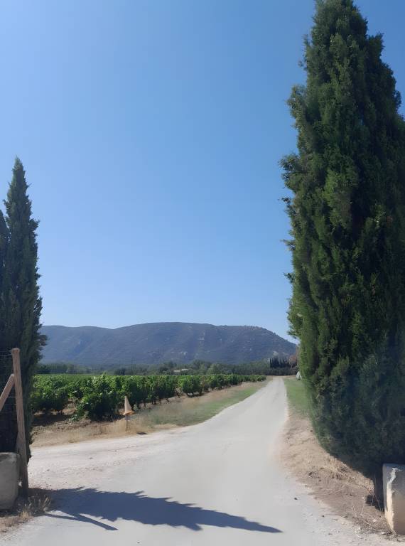 foto5