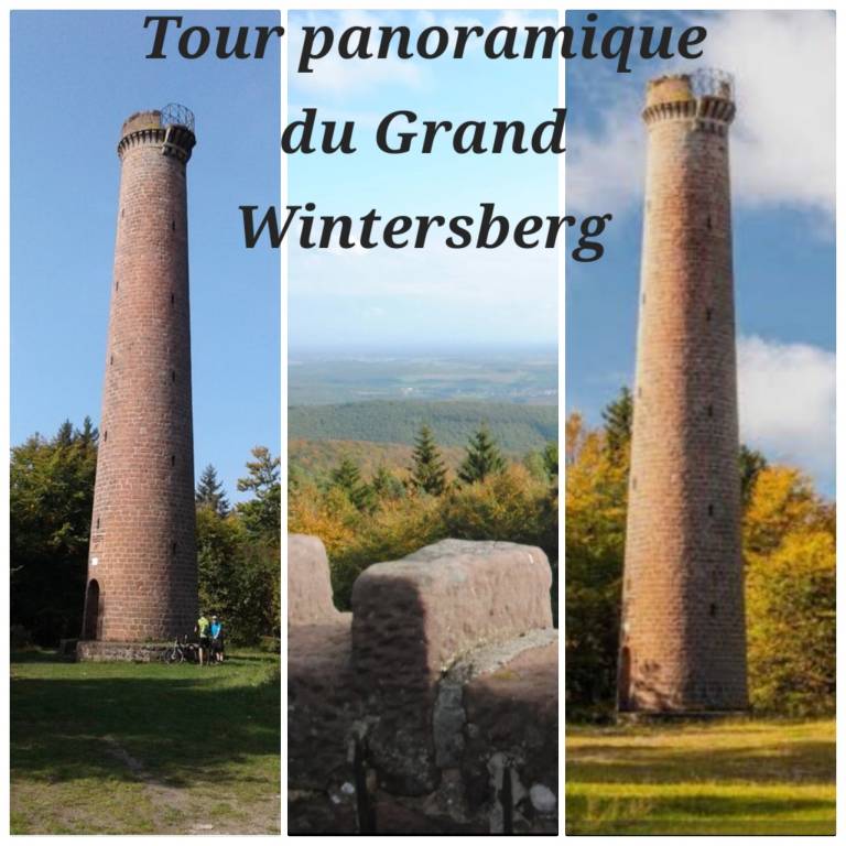 foto41