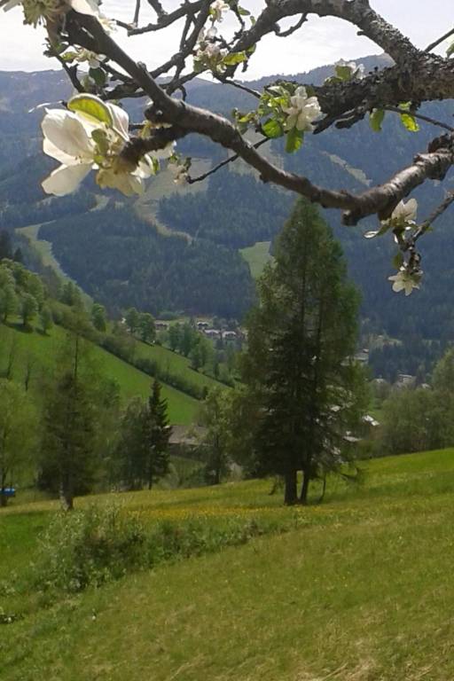 foto15