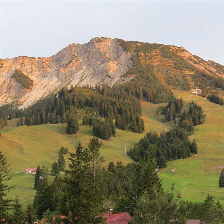 foto1