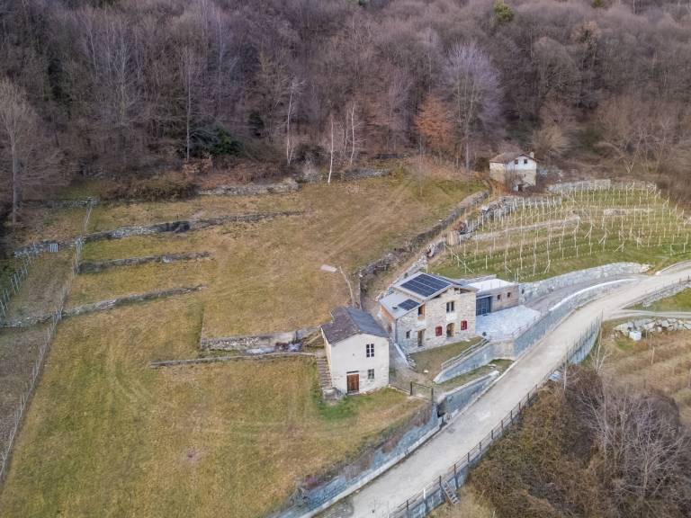 foto50