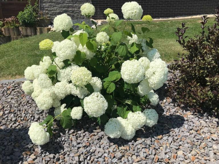 foto21