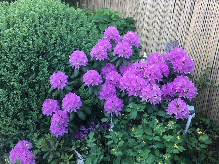 foto29