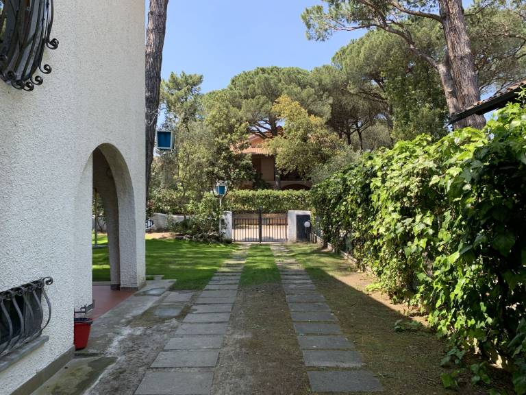 foto29