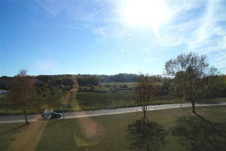 foto1