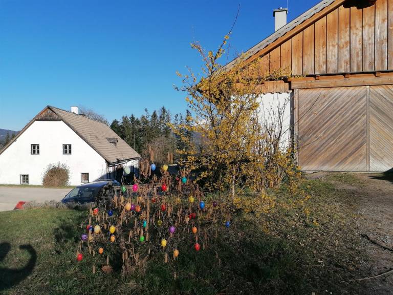foto10