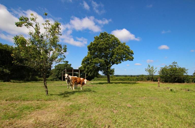 foto19