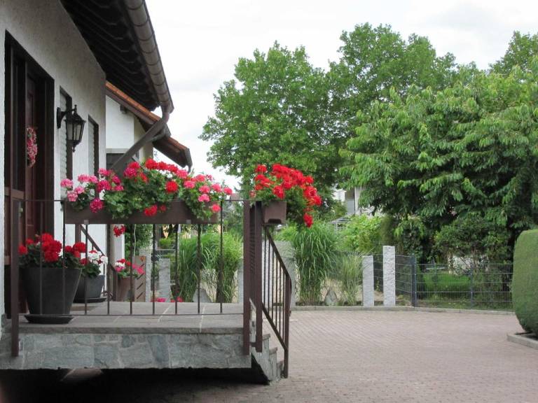 foto20