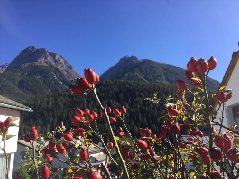 foto14