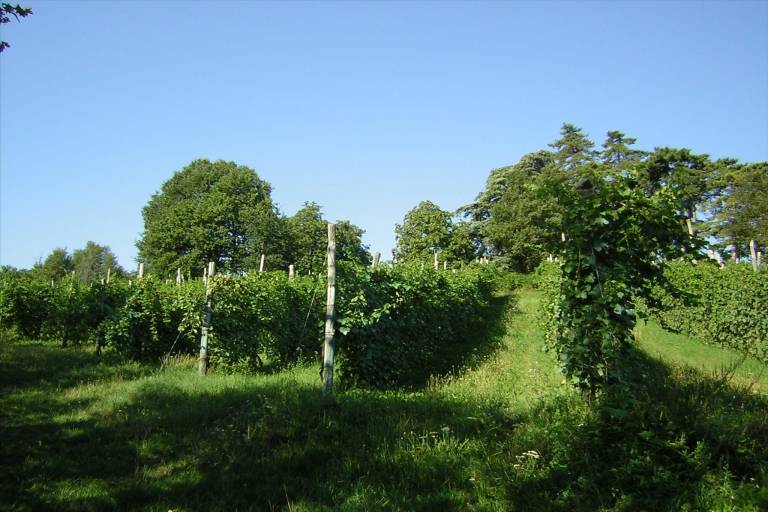 foto14