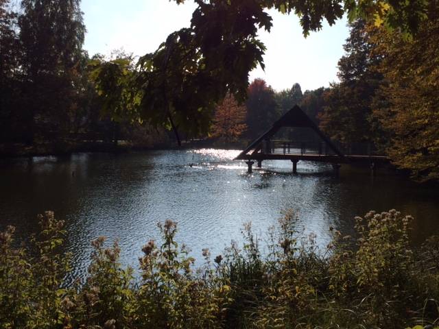 foto19